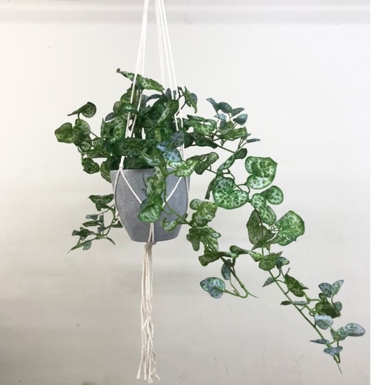 Potted String of Hearts Plant in Macrame Hanger Artificial Plants